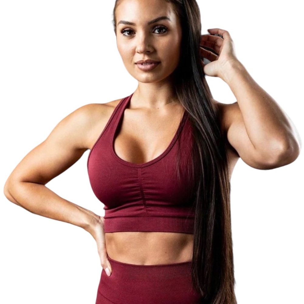 Alphalete Amplify High-Impact Padded Sports Bra - Bordeaux, Size Small - Picture 1 of 9